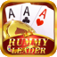 rummy health icon