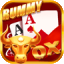 all rummy 50 bonus icon